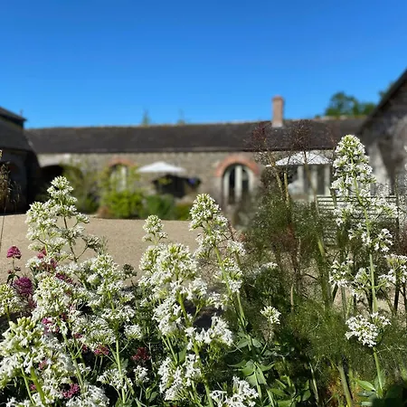 The Garden At The Courtyard,townley Hall Drogheda