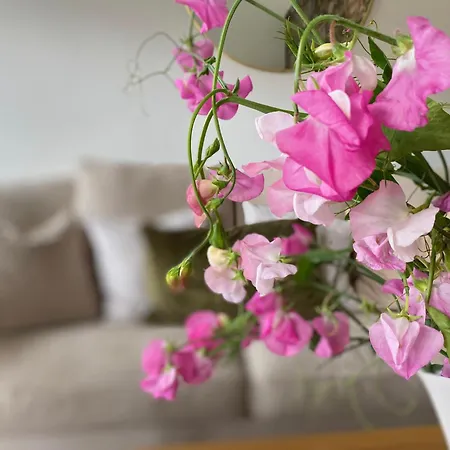 Apartman The Garden At The Courtyard,townley Hall Drogheda