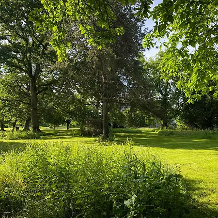 The Garden At The Courtyard,townley Hall